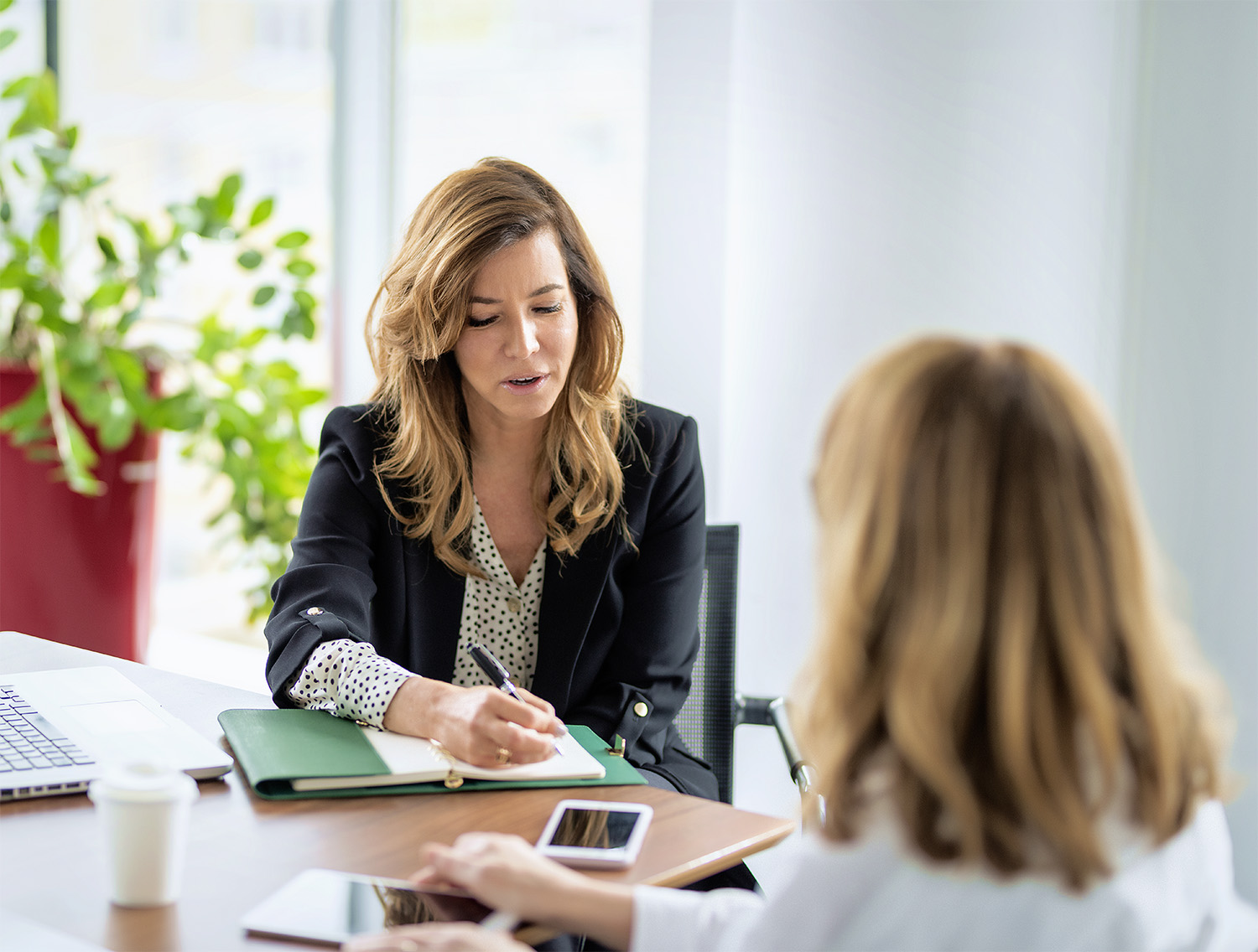 Client Support Liaison Services